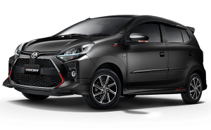 rental new agya bali